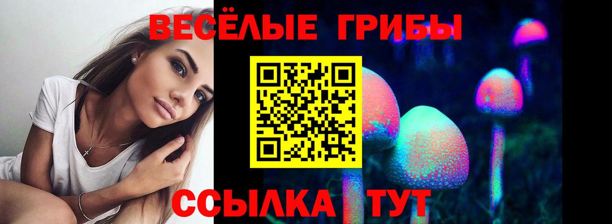 Псилоцибиновые грибы прущие грибы  Галлюциногенные грибы ЛСД  Вход с VPN  Донецк 
